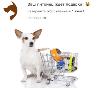 что такое брошенная корзина. Смотреть фото что такое брошенная корзина. Смотреть картинку что такое брошенная корзина. Картинка про что такое брошенная корзина. Фото что такое брошенная корзина