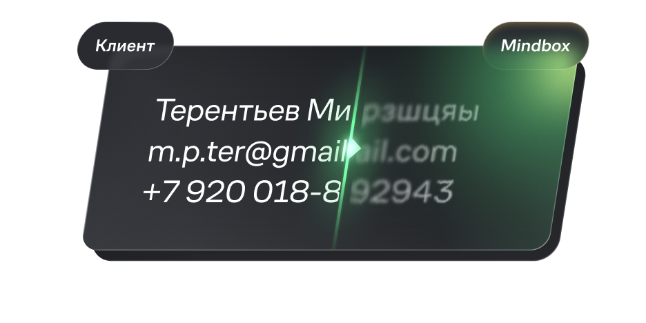 Анонимизатор данных клиента