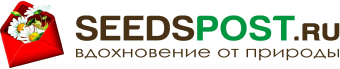 Логотип