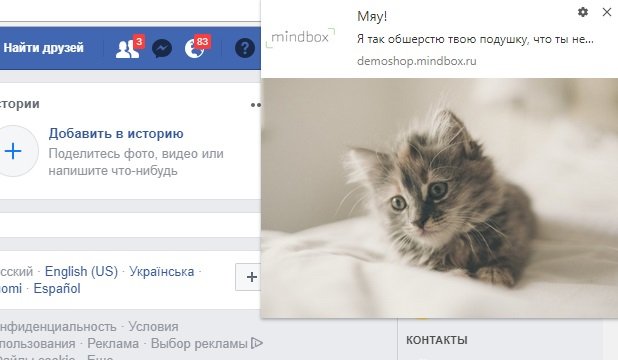 Семену нравится котик на facebook Семену нравится котик на facebook